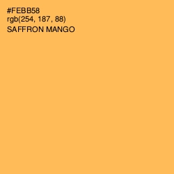 #FEBB58 - Saffron Mango Color Image